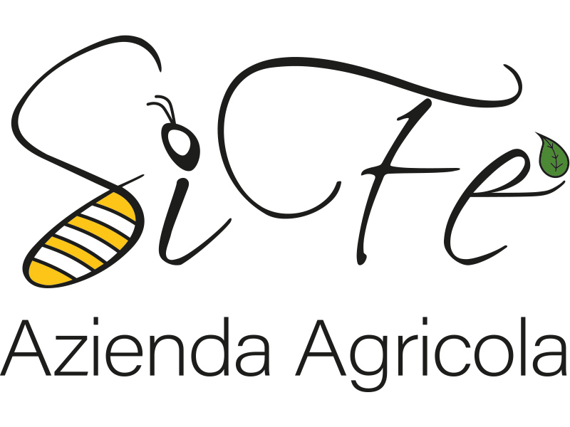 logo 800 600